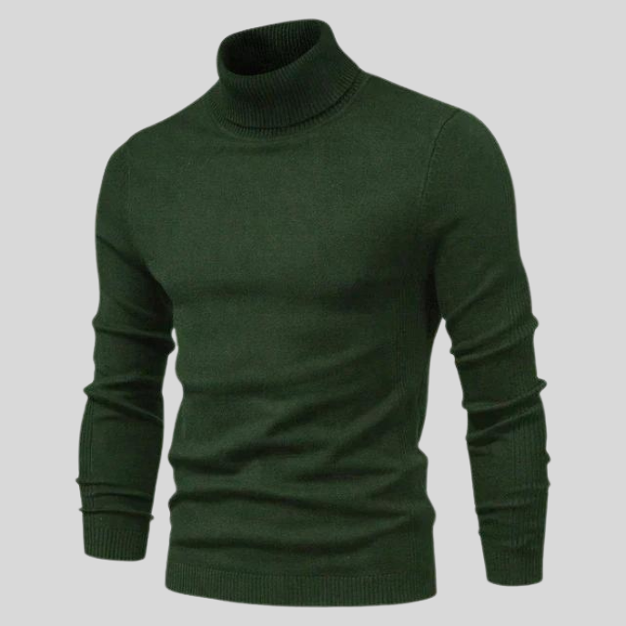 Ben Modischer Rollkragenpullover