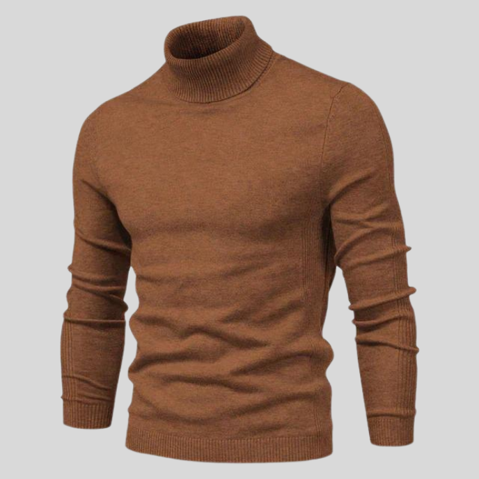 Ben Modischer Rollkragenpullover