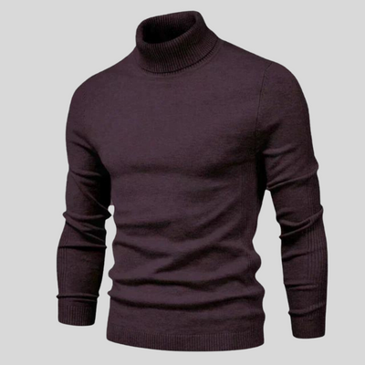 Ben Modischer Rollkragenpullover